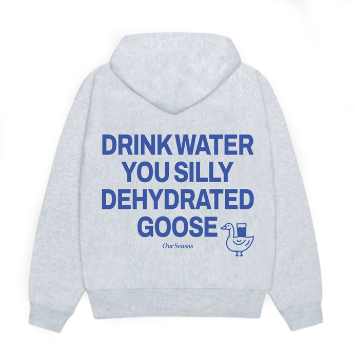 *****Almost Gone!***** Silly Dehydrated Goose Hoodie