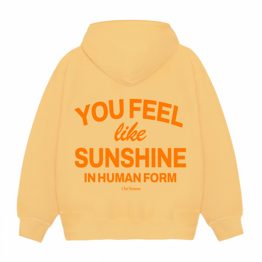 Almost Gone!***** Human Sunshine Hoodie – OurSeasns